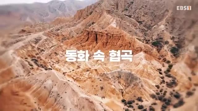 세계테마기행 2025-12-01