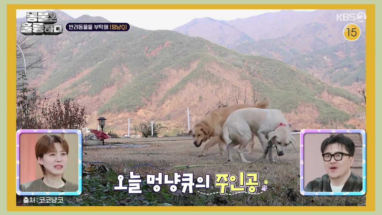 동물은 훌륭하다 2025-02-24