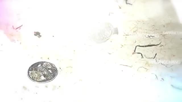 한국인의 밥상 2025-05-01