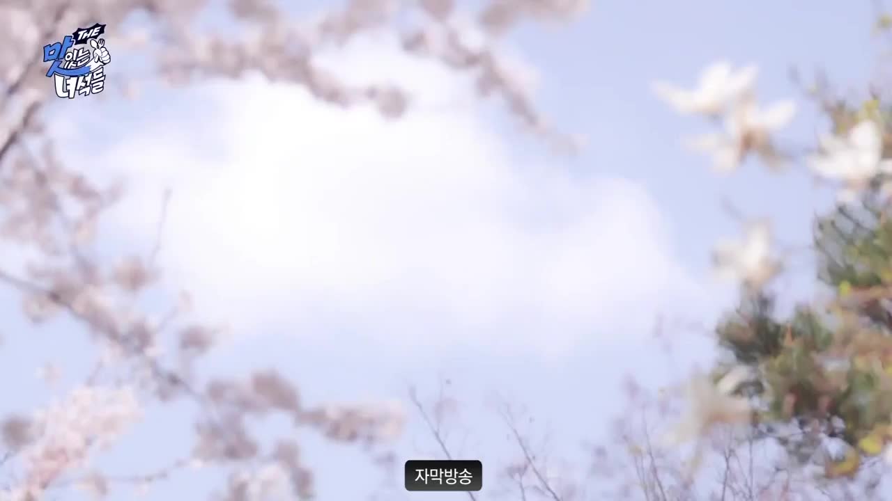 THE 맛있는 녀석들 2025-05-09
