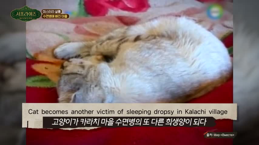 서프라이즈 미스터리 살롱 제27회