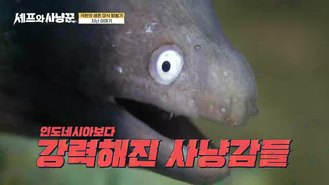 셰프와 사냥꾼 제7회