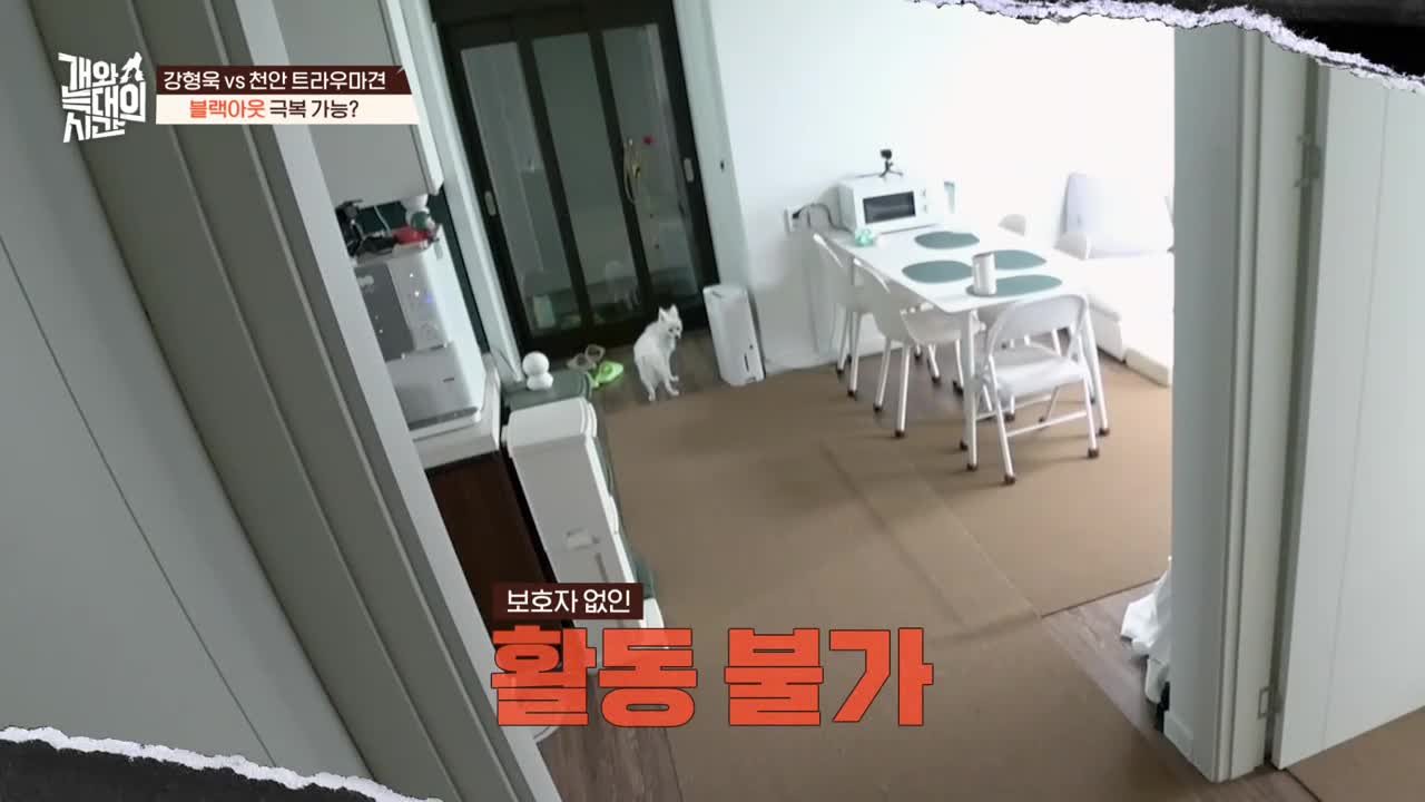 개와 늑대의 시간 2025-10-28