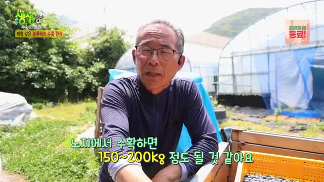 2TV 생생정보 2025-06-16