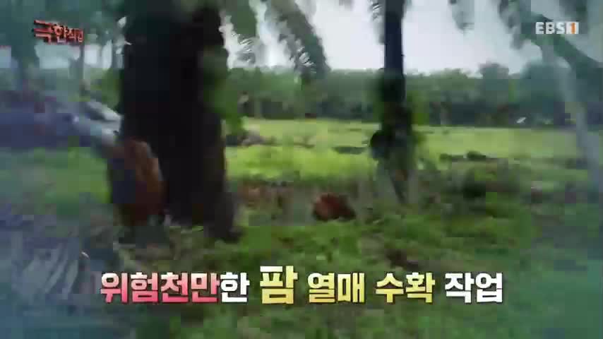 극한직업 2026-06-06
