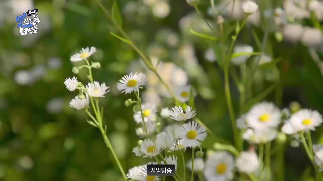 THE 맛있는 녀석들 2025-07-04