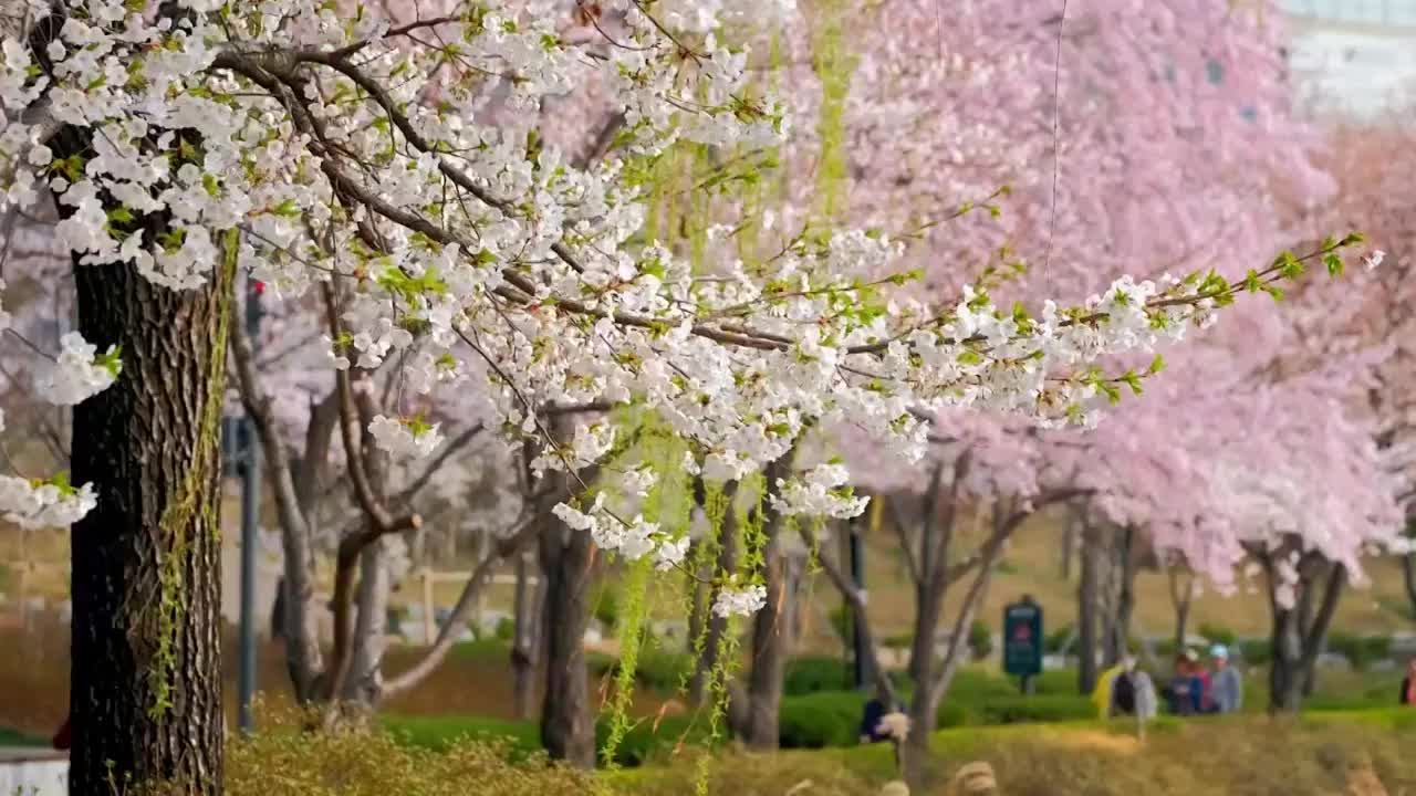 내가 제일 잘 나가 2025-04-24