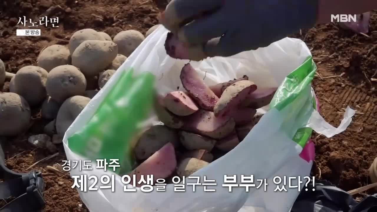 휴먼다큐 사노라면 2026-04-26