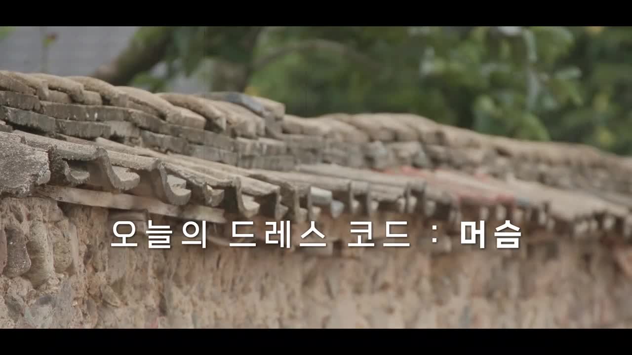 도라이버: 잃어버린 핸들을 찾아서 시즌2 2025-10-19