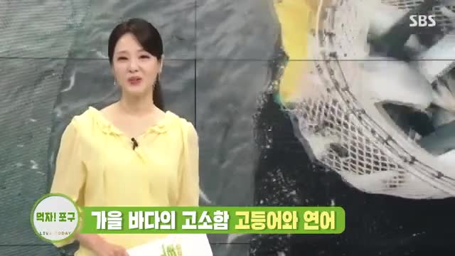 생방송 투데이 2025-09-25