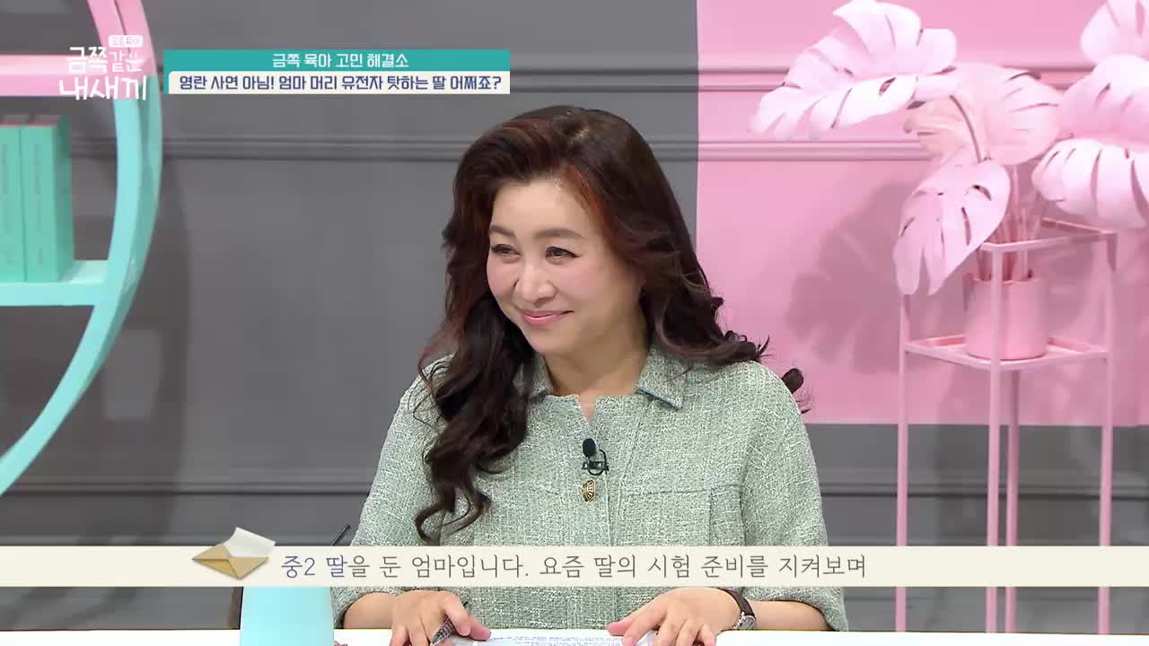 요즘 육아 금쪽같은 내 새끼 제241회