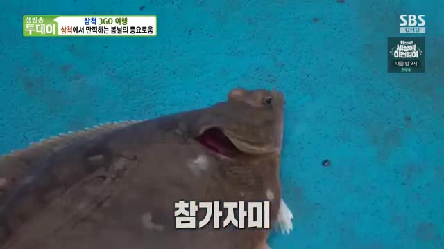 생방송 투데이 2025-05-28