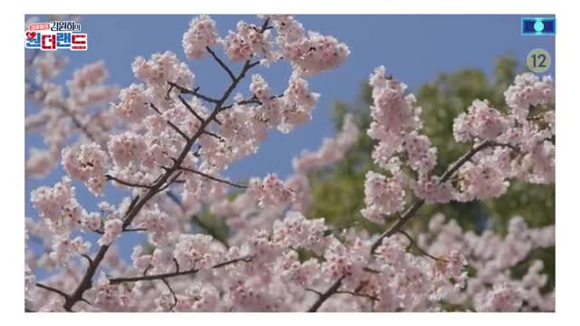 김원희의 원더랜드 제29회