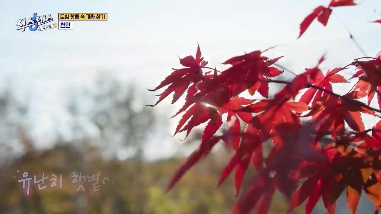 식스센스: 시티투어2 제9회 2025-12-25