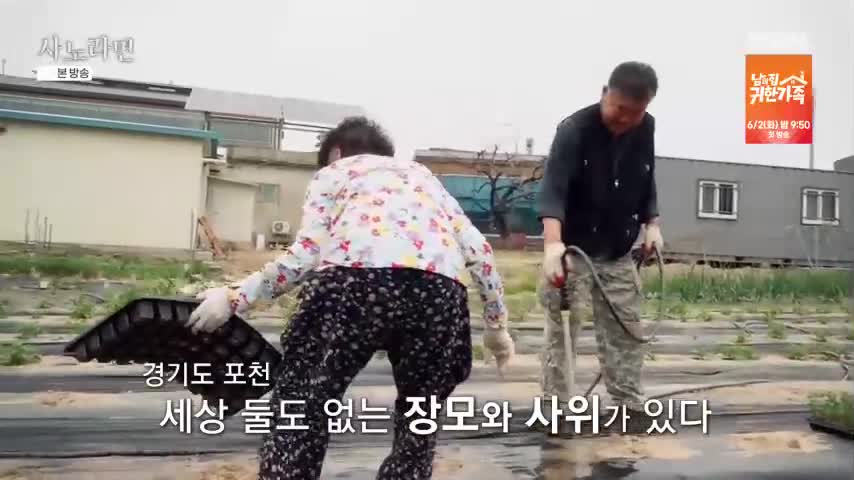 휴먼다큐 사노라면 2026-05-31