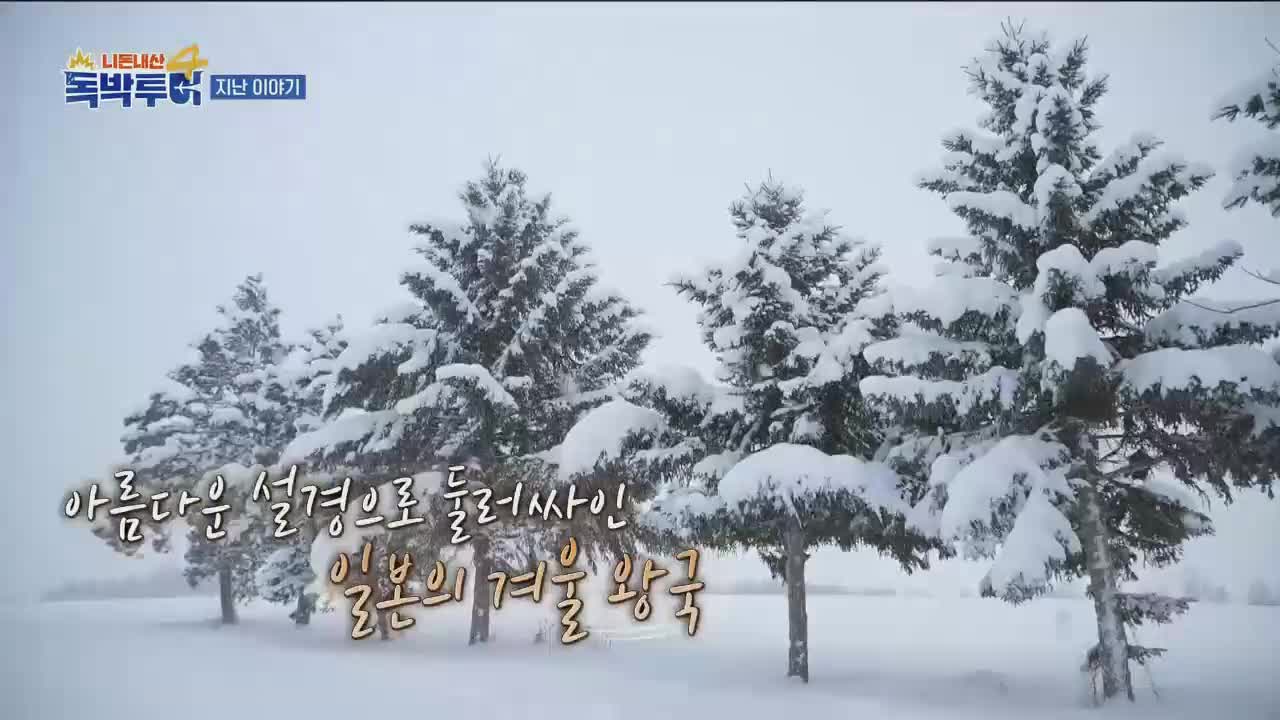 니돈내산 독박투어4 제38회 2026-02-21