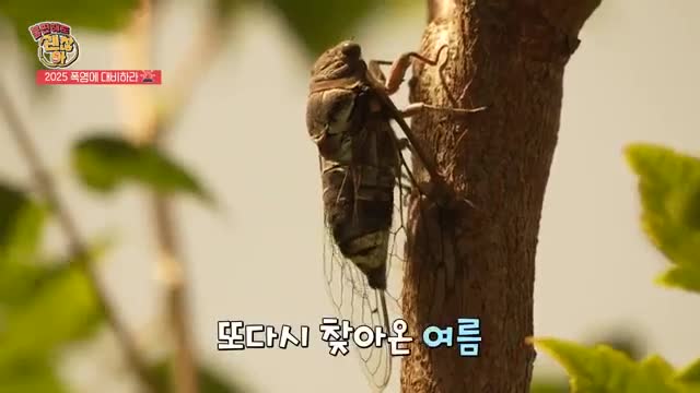 <불편해도 괜찮아> 시즌7 2025-06-14