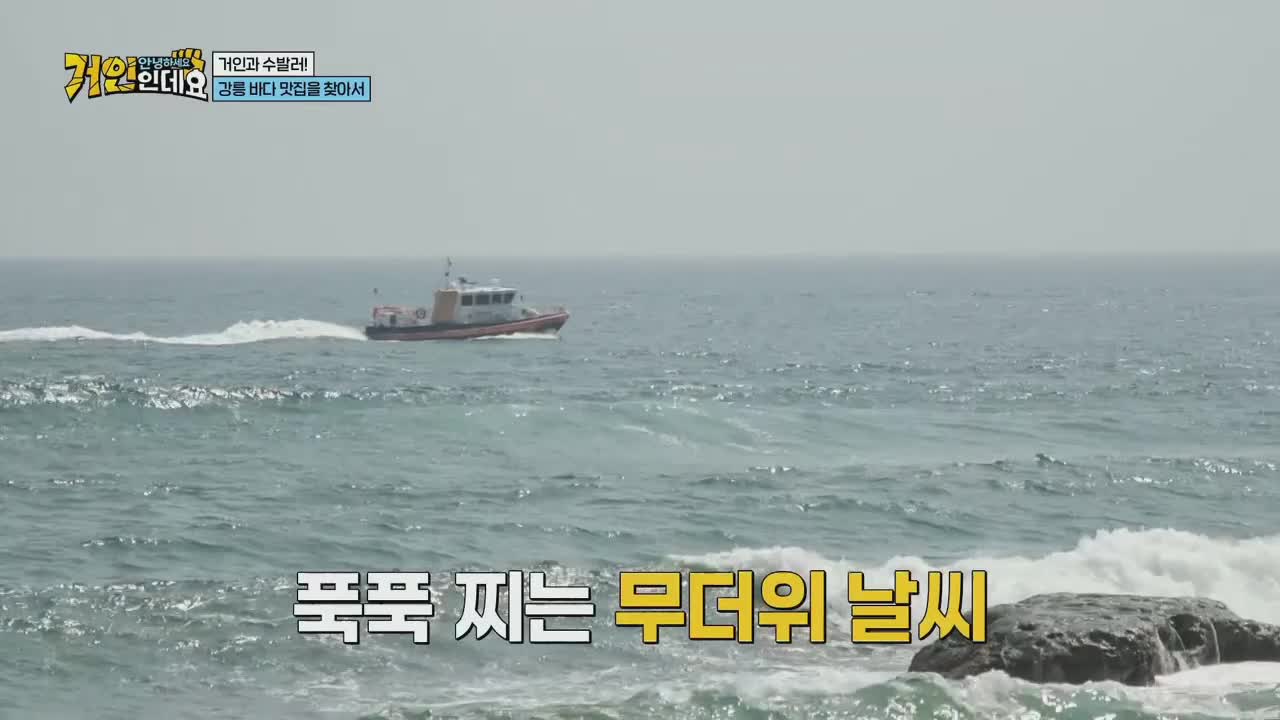 안녕하세요, 거인인데요 2026-08-16