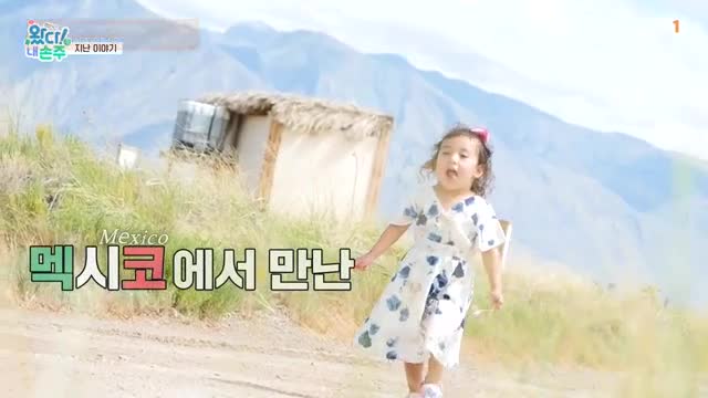 왔다 내손주 2025-11-13