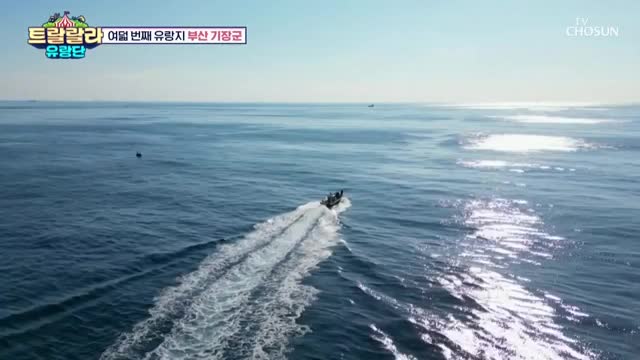 트랄랄라 유랑단 2025-01-24