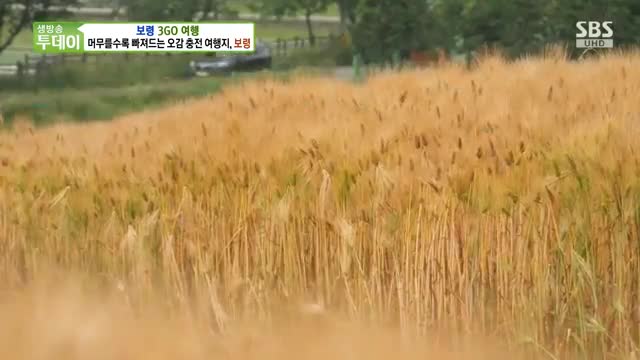 생방송 투데이 2025-06-04