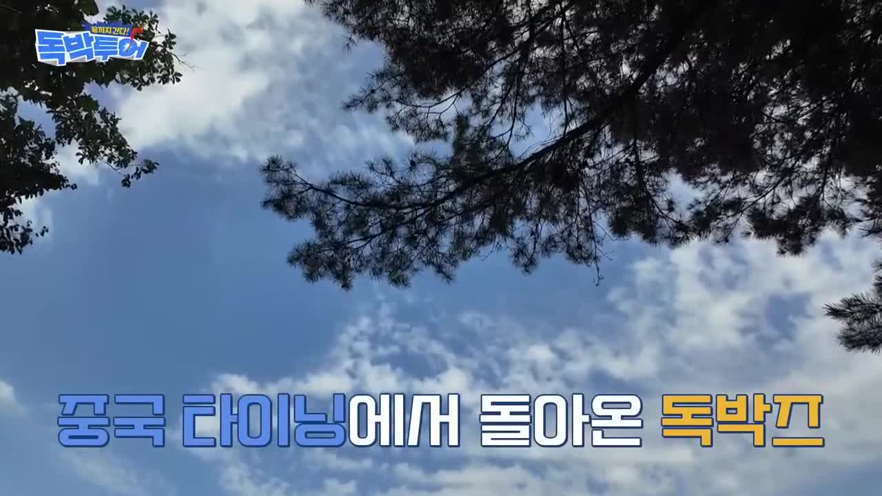 끝까지 간다 독박투어 2026-09-19