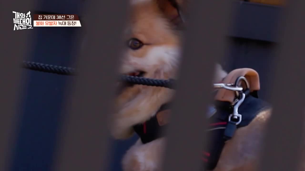개와 늑대의 시간 시즌2 2026-04-22