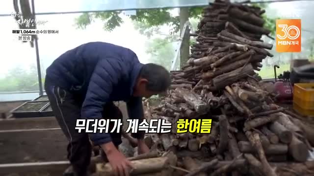 나는 자연인이다 제666회