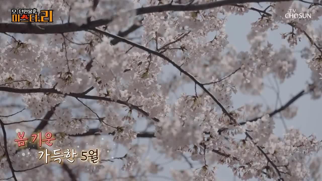 모-던 인물史 미스터.리 2025-05-02