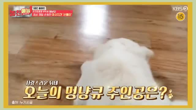 놓친 예능 따라잡기 2025-02-27