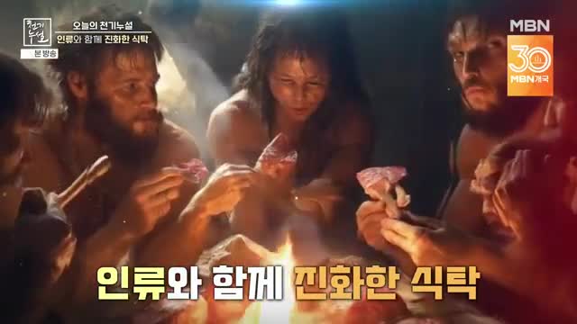 천기누설 2025-04-04