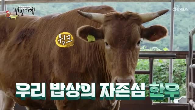식객 허영만의 백반기행 제315회