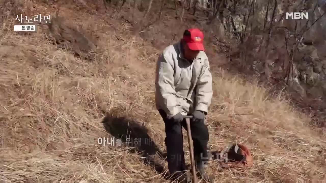 휴먼다큐 사노라면 2026-02-01
