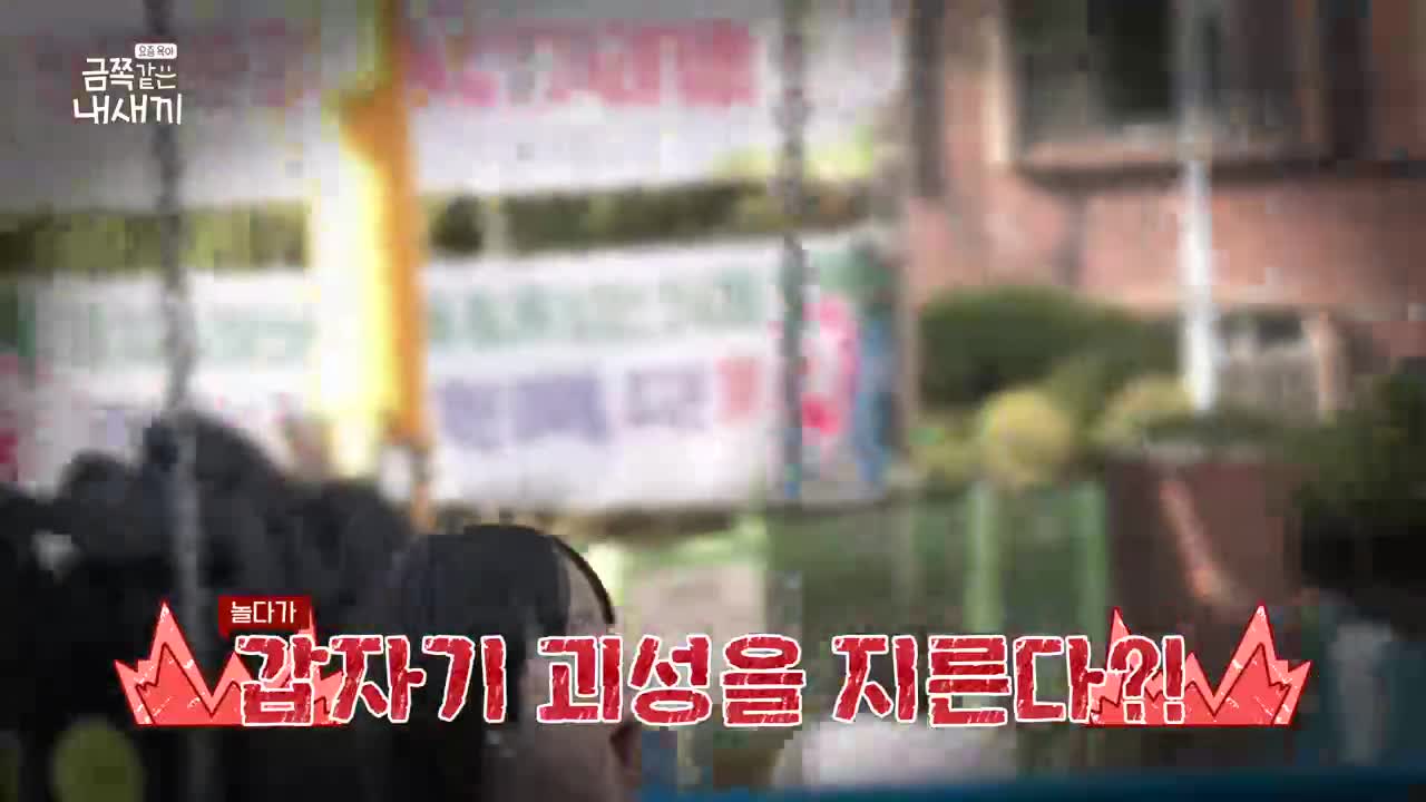 요즘 육아 금쪽같은 내 새끼 제279회