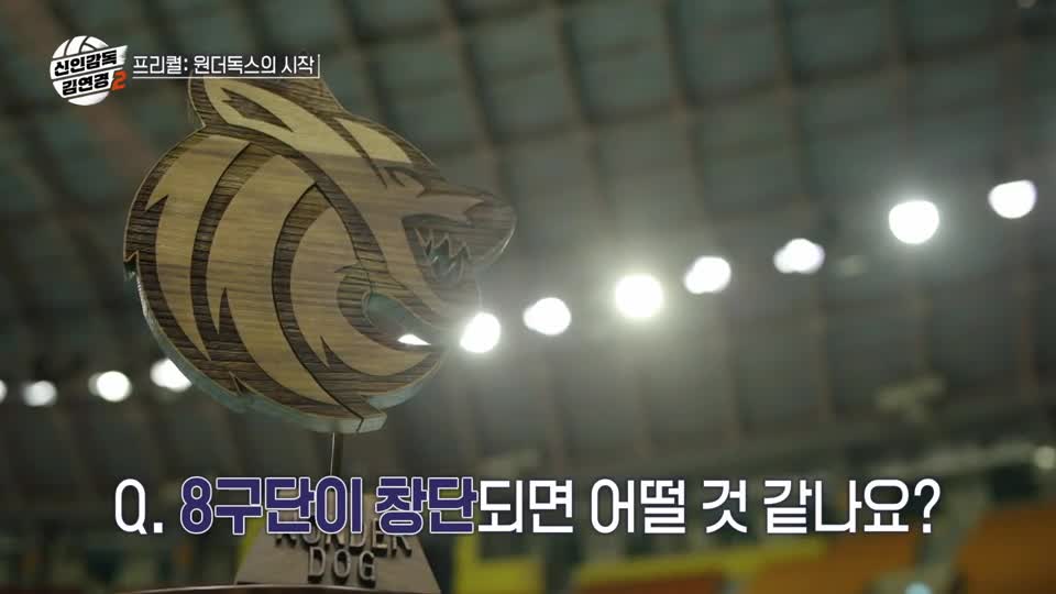 신인감독 김연경2 2026-10-10
