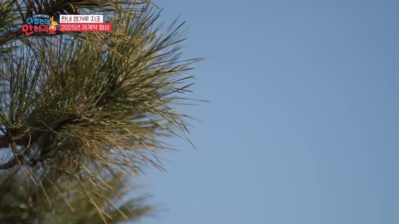 다 컸는데 안 나가요 제12회