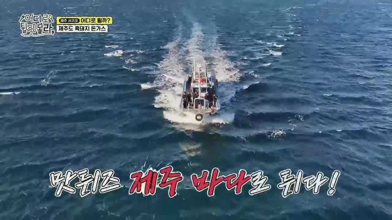 어디로 튈지 몰라(어튈라) 2025-11-30