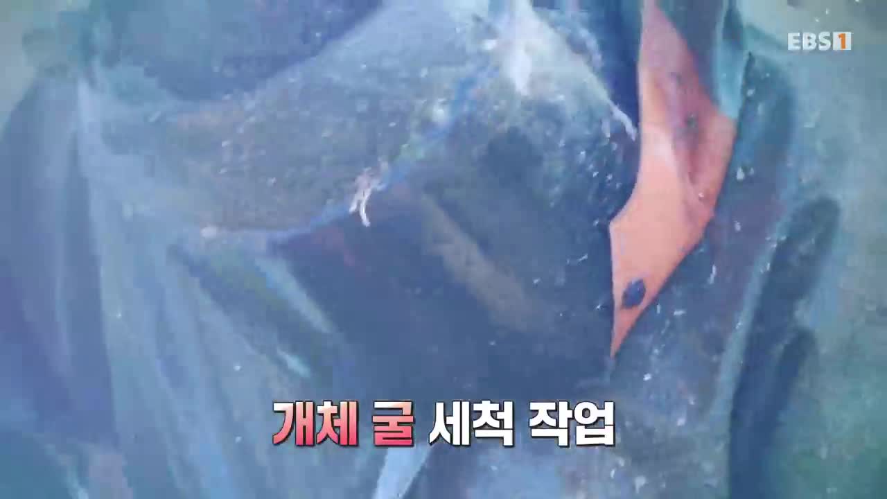 극한직업 2026-01-18