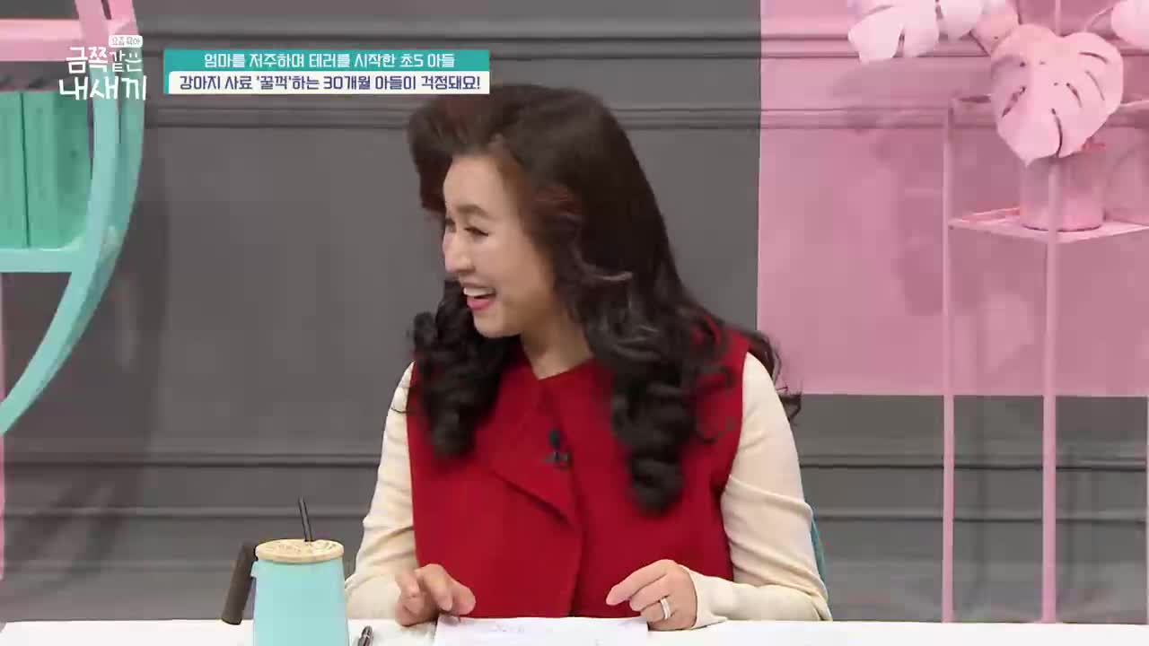 요즘 육아 금쪽같은 내 새끼 제269회