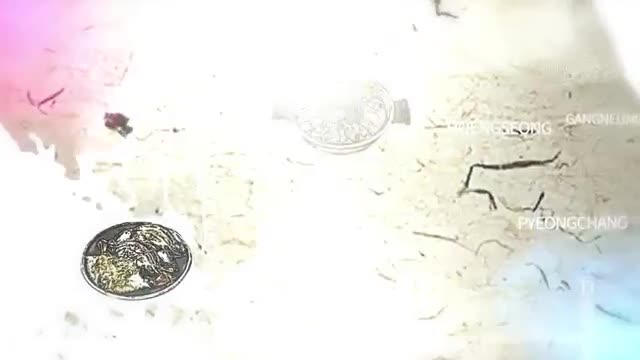 한국인의 밥상 2025-11-20