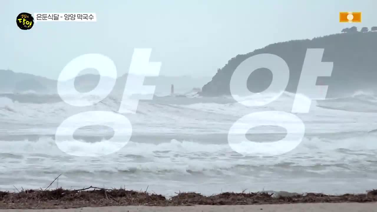 생활의 달인 2026-06-29