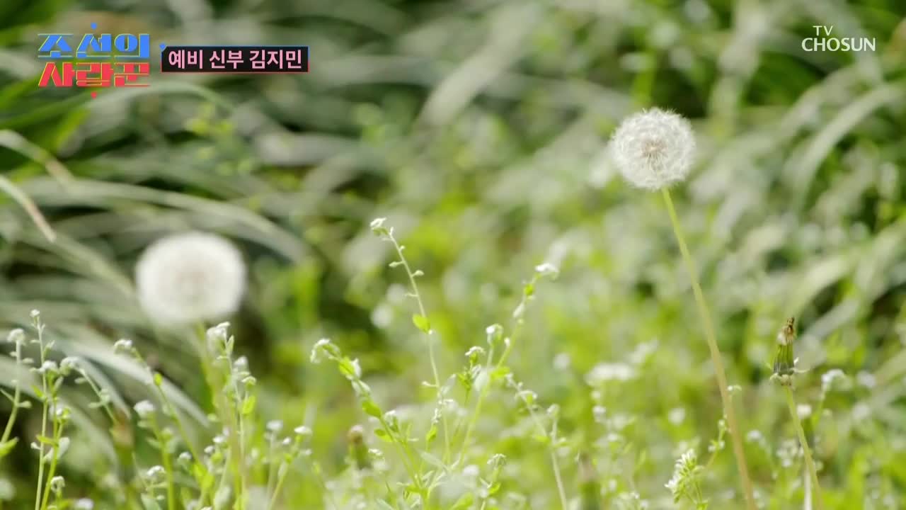 조선의 사랑꾼 제73회