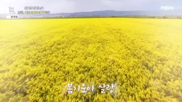천기누설 2025-03-14
