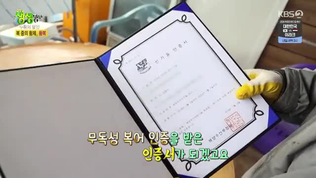2TV 생생정보 2025-06-05