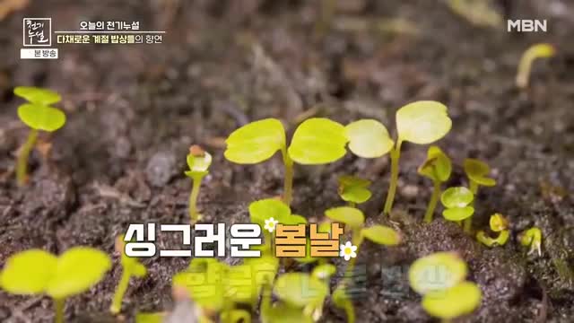 천기누설 2025-01-24
