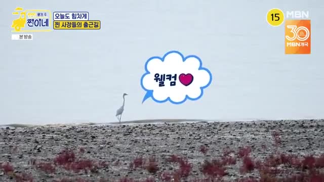 웰컴 투 찐이네 2025-11-03