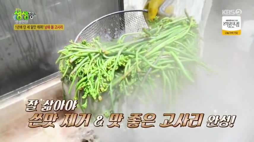 2TV 생생정보 2025-05-16