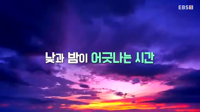 세계테마기행 2025-12-08