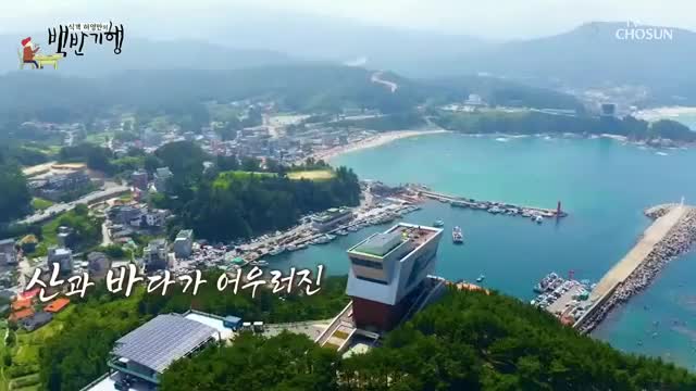 식객 허영만의 백반기행 제291회