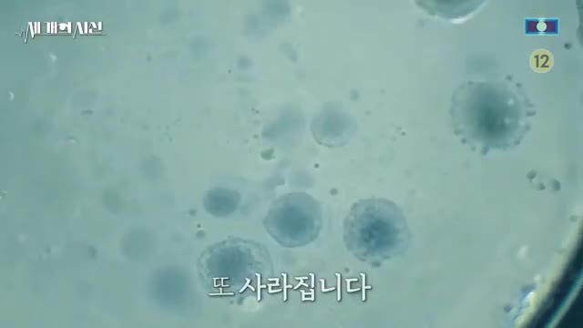 세 개의 시선 2025-11-30